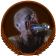 Bon Appétit