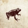 Leapfrog